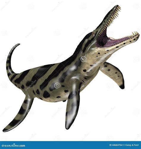 kronosaurus images